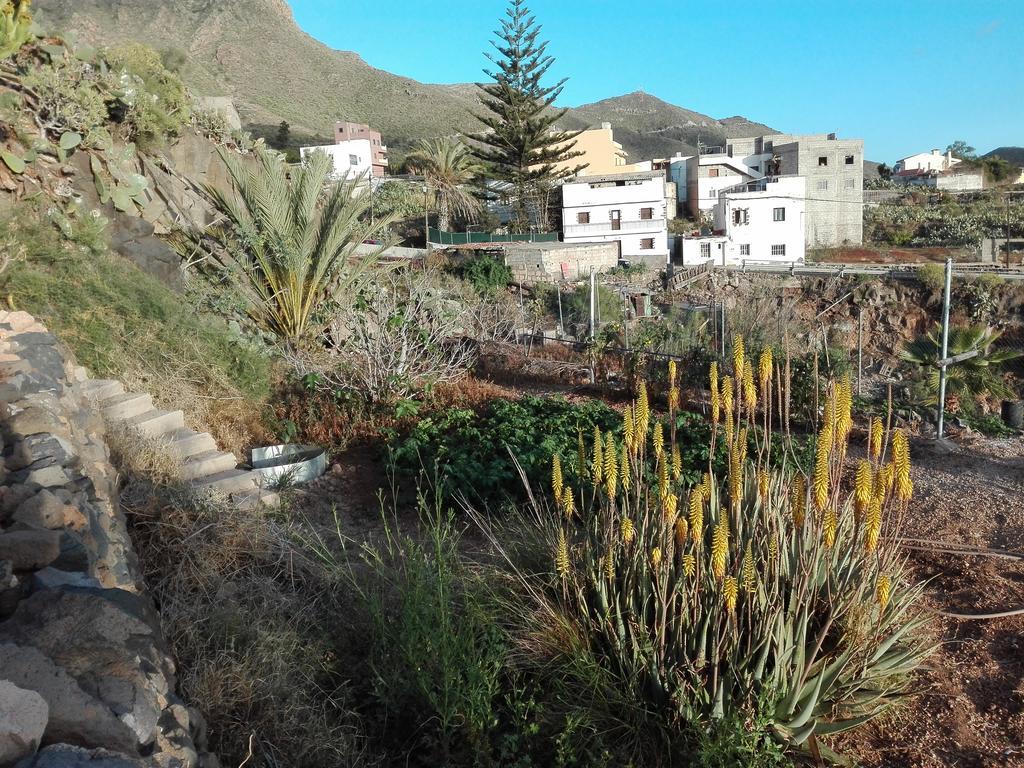 Finca Patio Canario Arona  Exterior photo
