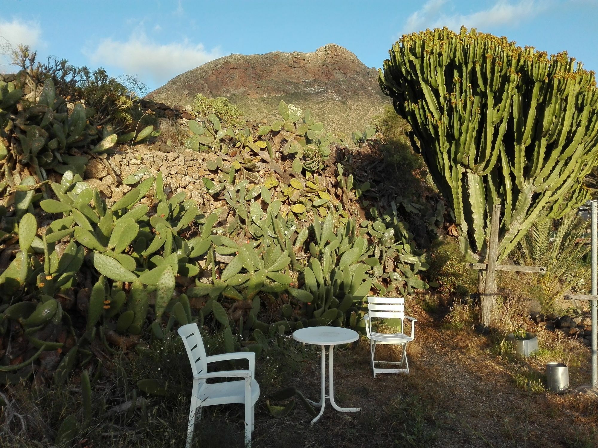 Finca Patio Canario Arona  Exterior photo